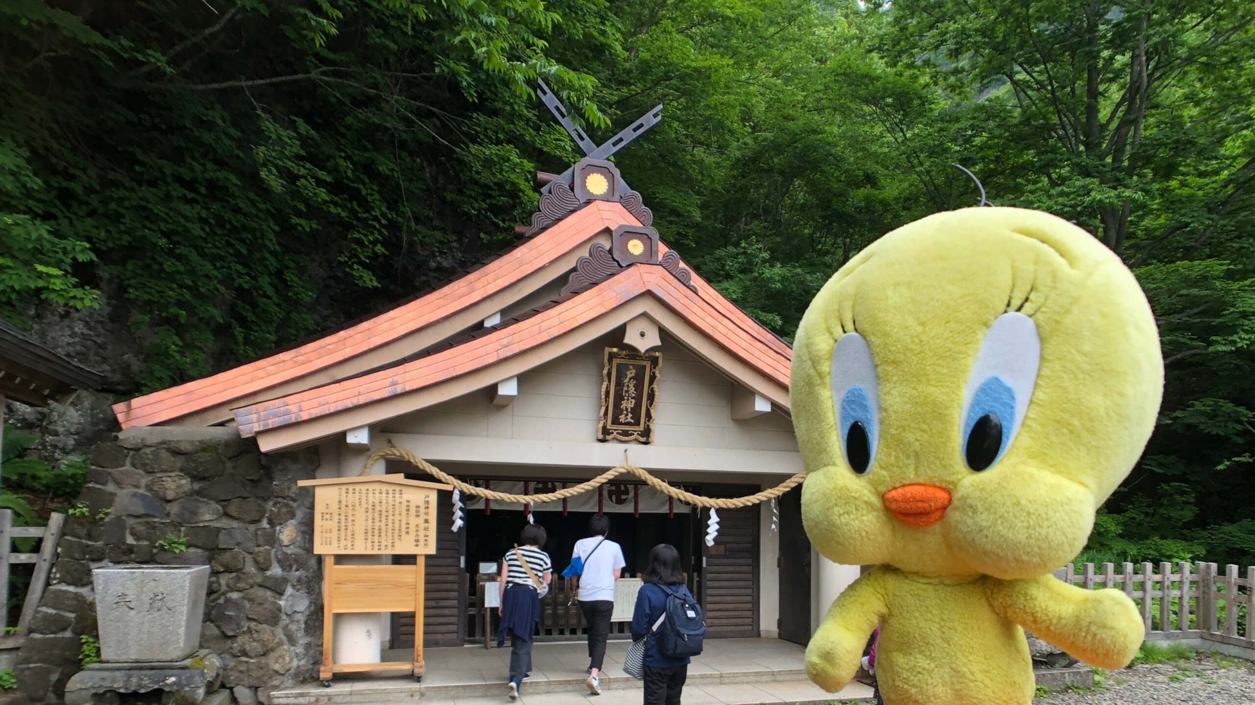 戸隠神社に行く前のチェックポイント5つ | 旅に役立つ情報サイト