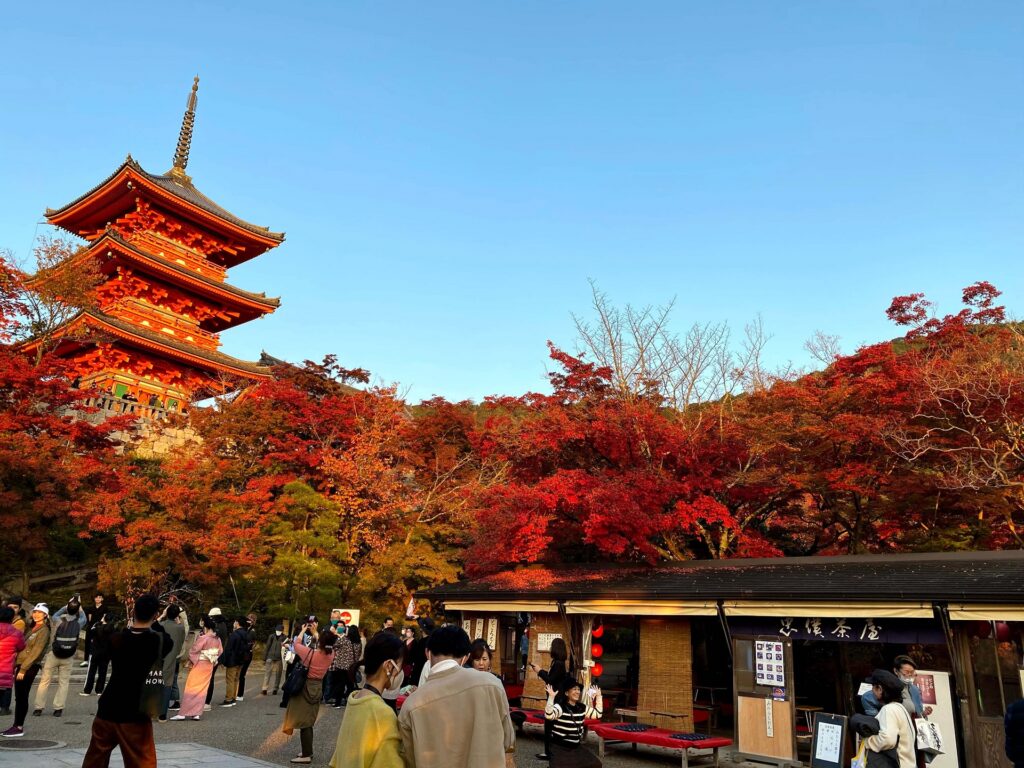 京都東山清水寺紅葉図(紅葉秋雨)】浅野鶴汀 1003 秋景 共箱